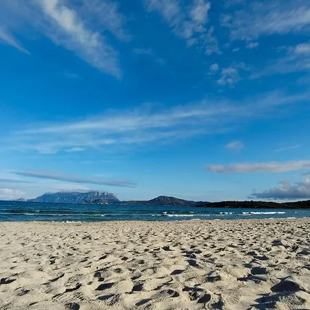 Lo Squalo Vakantiehuis Olbia